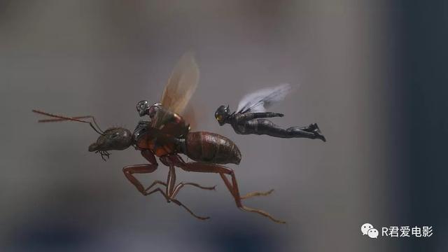 《蚁人2》：为了《复联4》，建议还是看一下……
