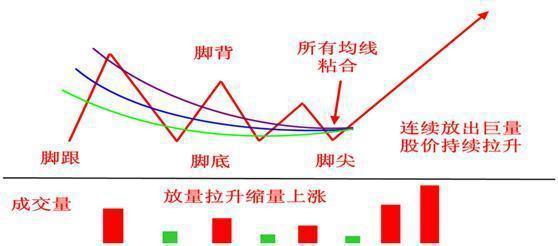 北大金融女博士说破股市：炒股只看成交量就足够，看完豁然开朗