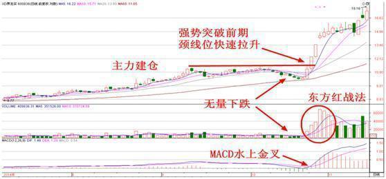 北大金融女博士说破股市：炒股只看成交量就足够，看完豁然开朗