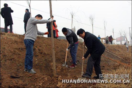 中信银行沧州分行积极开展义务植树活动