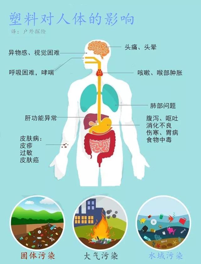 想快速提升环保功力？用这几招就对了