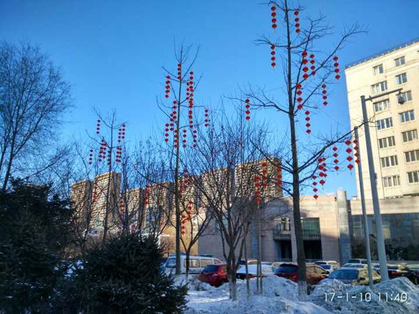 “小品”灯饰扮靓顺城 营造喜庆祥和的节日氛围