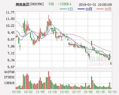 “老赖”赫美集团再收关注函 股价跌停