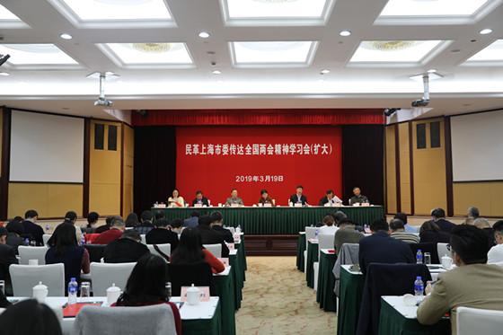 民革上海市委举行会议传达学习全国两会精神