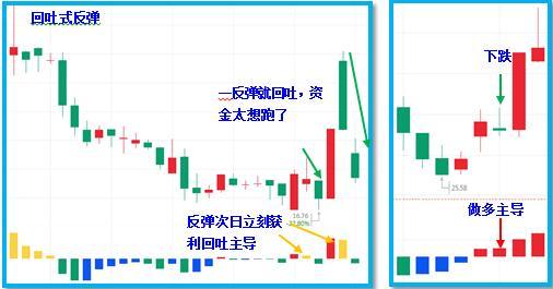 反弹也分三等，有些是铁坑碰不得