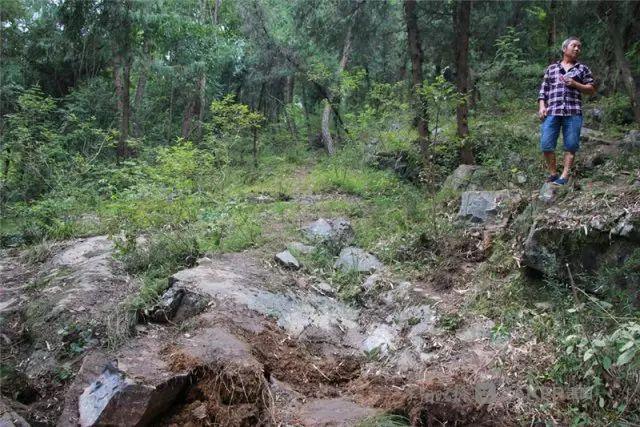 热点丨恐怖！深夜炸雷击穿民房，致屋内3人严重受伤且有1人病危