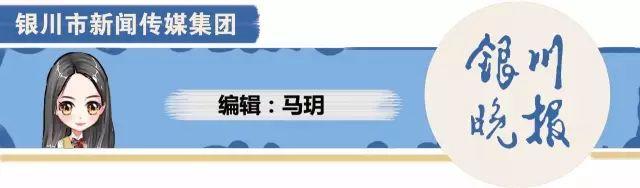 焦点丨银川又一恶势力团伙覆灭，14人获刑！