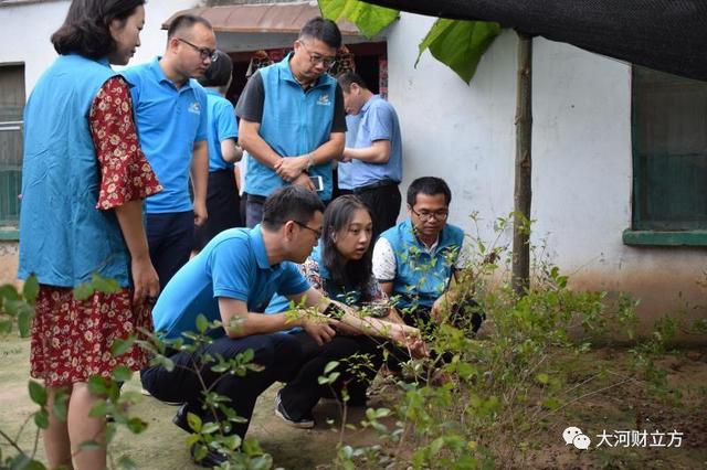 产业扶贫新样本！碧桂园苗木基地为这里的贫困户埋下致富种子