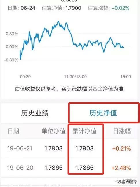 基金净值搞不懂，被坑还帮人数钱