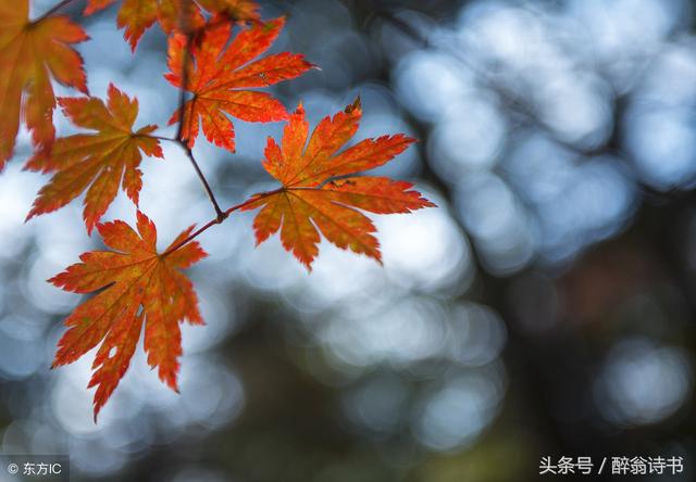 诗歌 · 水熬秋夜