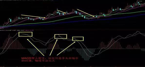 最傻炒股方式：“MACD金叉买死叉卖”，炒股技术最大骗局，亏到你怀疑人生！