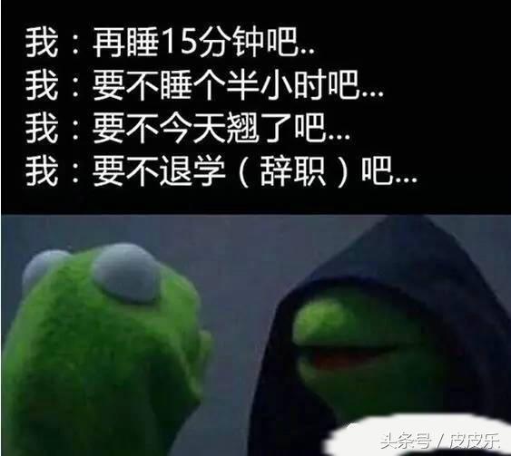 拿到驾照的朋友们，请问这两个标志是什么意思？