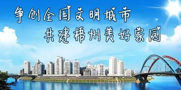 解决中小企业融资难问题｜梧州市金融投资有限公司成立揭牌