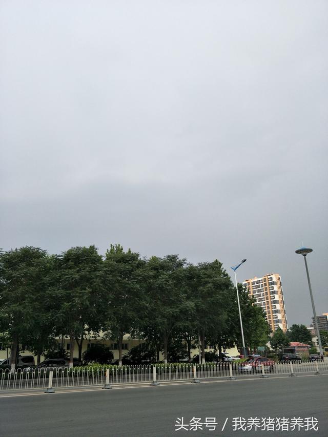 我仿佛听到了隆隆雷声