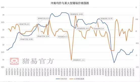 河南非洲猪瘟解禁第一天！发生了什么？