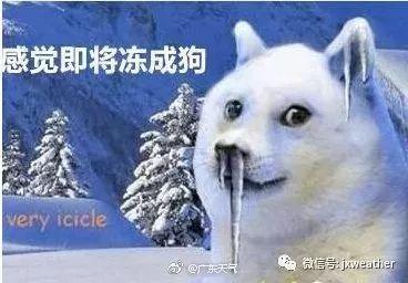 降温+雨雪+大风！安义掉进冰窖了？还有流感形势也告急