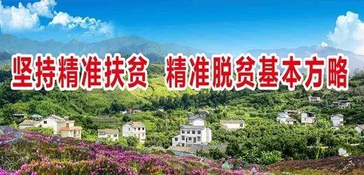 最高可补助200万元！农民工返乡创业园申报认定6月15日前报审