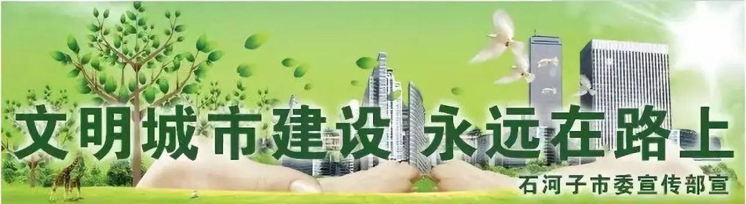 王胜平率六师五家渠市党政代表团来石考察