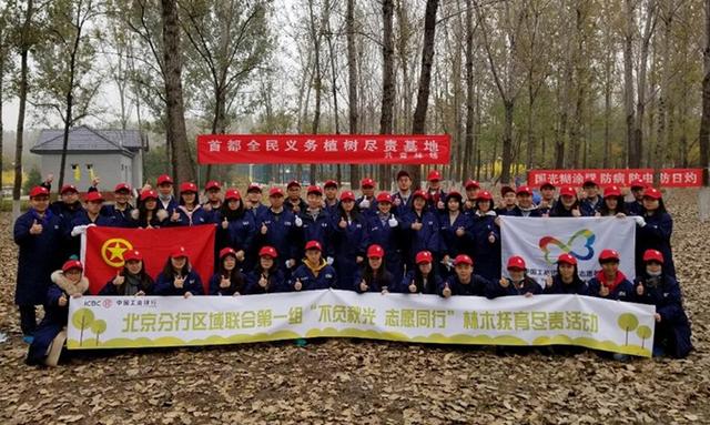 爱护树木从我做起 工商银行北京分行团员青年为300株树木涂白