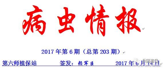 兵团第六师五家渠市2017年第6期病虫情报