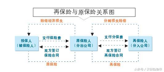 买保险，你会选择一家怎么样的保险公司？