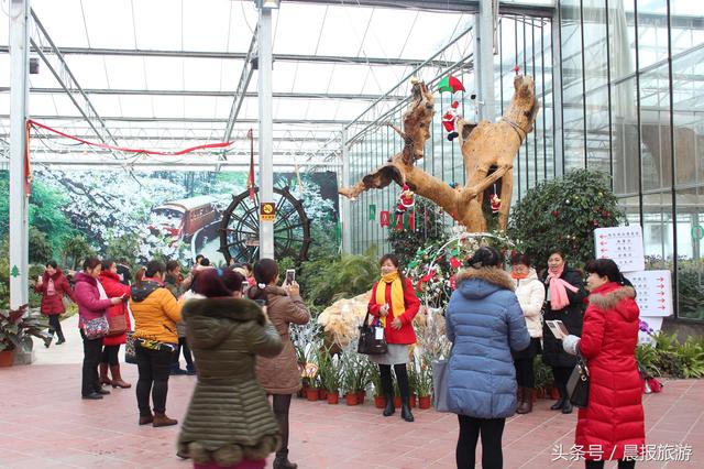 2017年五家渠市冰雪体育旅游节暨国际兰花展开幕