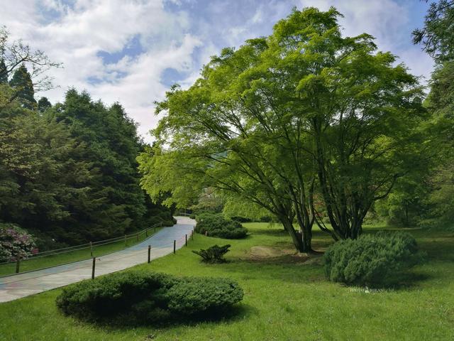 赏庐山杜鹃花，重游老电影取景地300万年前的冰窖遗迹！