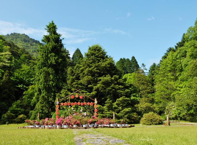 赏庐山杜鹃花，重游老电影取景地300万年前的冰窖遗迹！