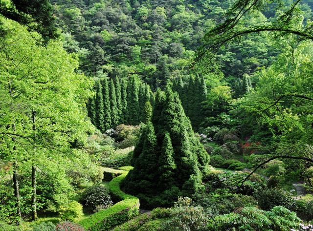 赏庐山杜鹃花，重游老电影取景地300万年前的冰窖遗迹！