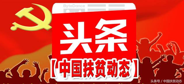 山东省农村信用社联合社到第一书记扶贫村检查调研小额贷款助农脱贫情况