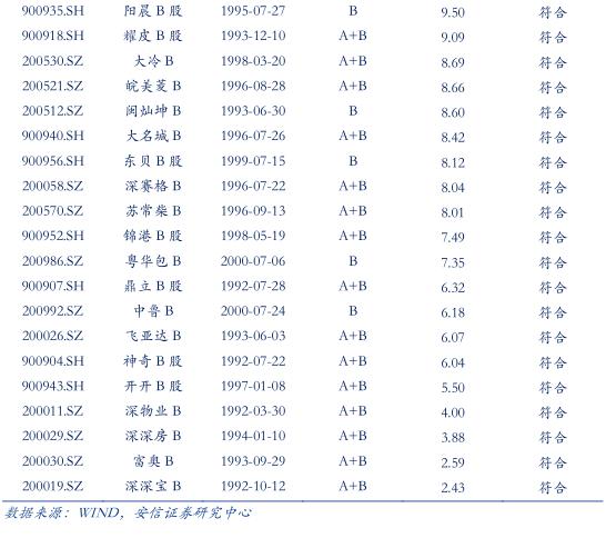 最后的金矿：投资B股市场策略