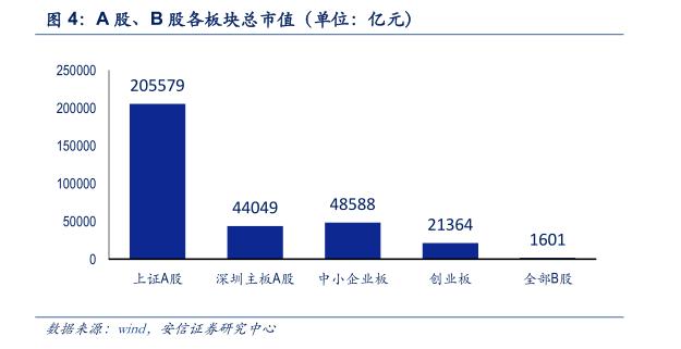 最后的金矿：投资B股市场策略