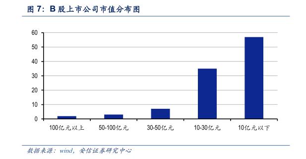 最后的金矿：投资B股市场策略