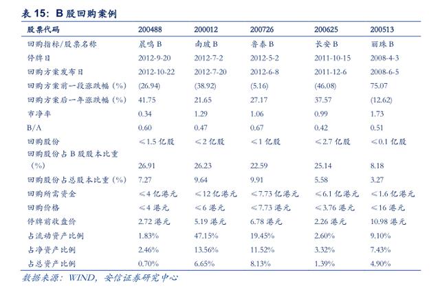 最后的金矿：投资B股市场策略