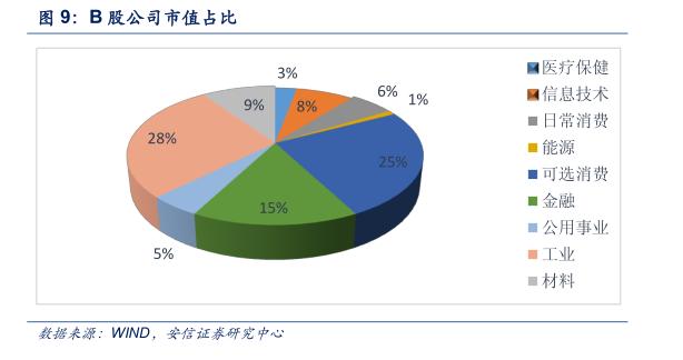 最后的金矿：投资B股市场策略