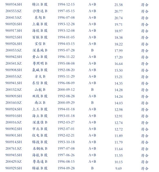 最后的金矿：投资B股市场策略