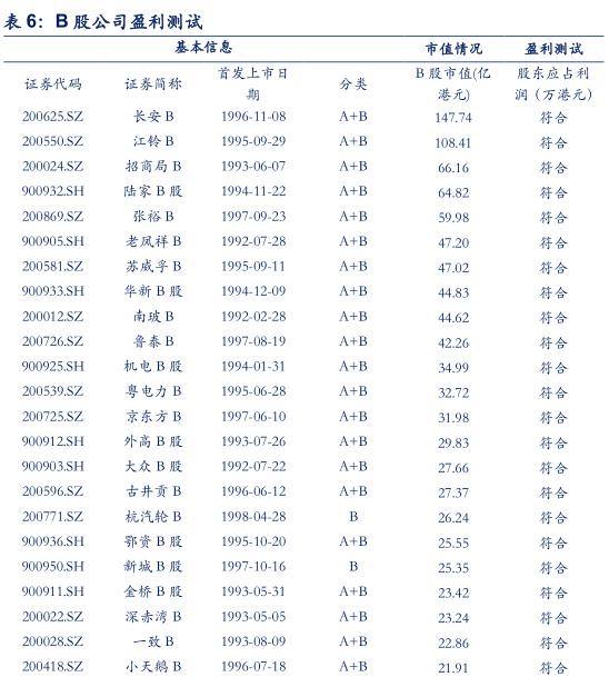 最后的金矿：投资B股市场策略