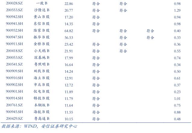 最后的金矿：投资B股市场策略