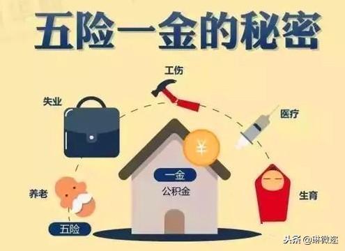 大学生请签收：你很有必要了解五险一金的那些秘密