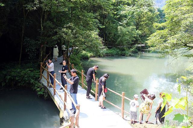 宜昌市投资4亿元打造4A级景区 中亚楠木林大峡谷景区亮相夷陵