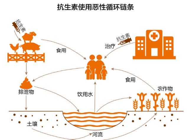 太可怕！每年已有70万人死于抗生素耐药 2050年或致1000万人死亡！