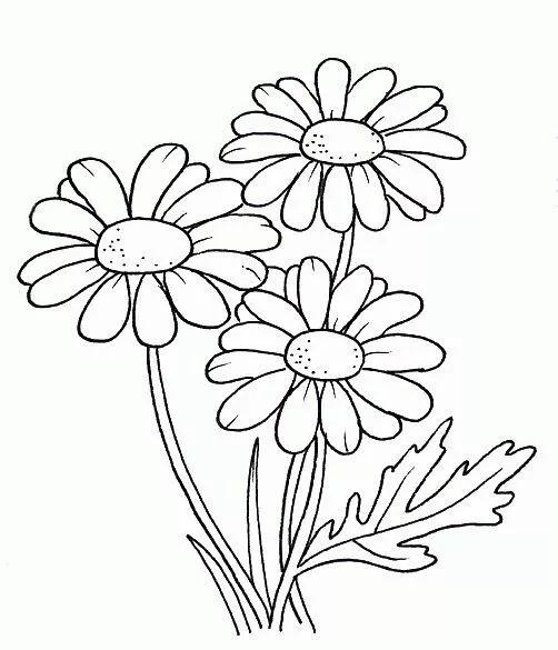 好一朵美丽的太阳花，超清线稿，既简单又实用，拿去临摹填色吧