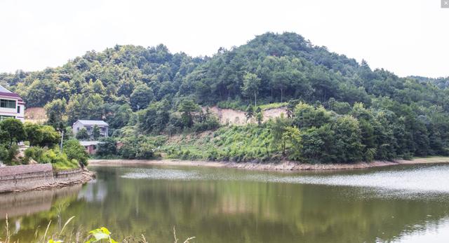 雨母山新竹村——衡阳市中心城区的绿肺