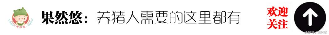 给你100万养猪，你养合同猪还是养外购仔猪？我养合同猪！