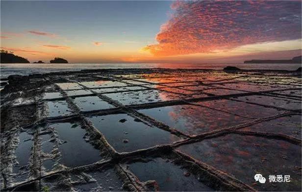 中国游客在海外3分钟买空一家店！在场所有人真的吓到了！