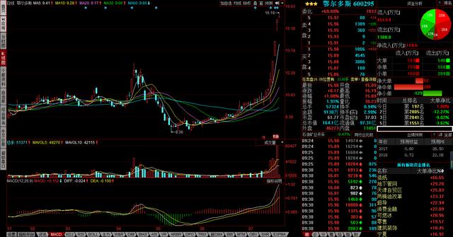 鄂尔多斯能成为下一个方大炭素吗？