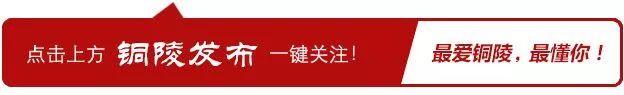 我市出台这项制度，力促铜陵有色冲刺世界500强！