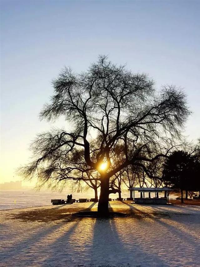 别拍雪景了，拍冬日阳光更带感