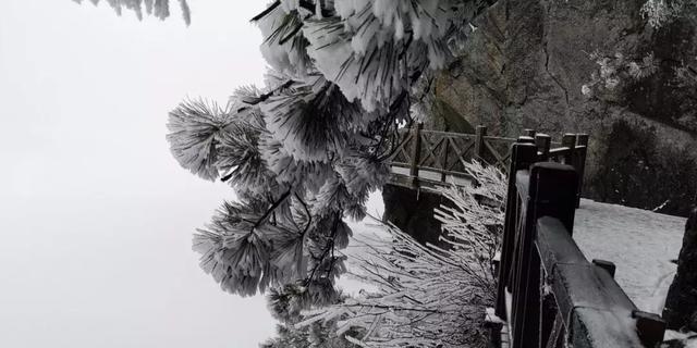 倾城佳人，带你领略武功山的风花雪月，你还在等什么