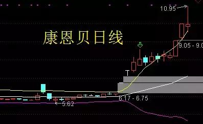 康恩贝——工业大麻+回购股份4-8亿元